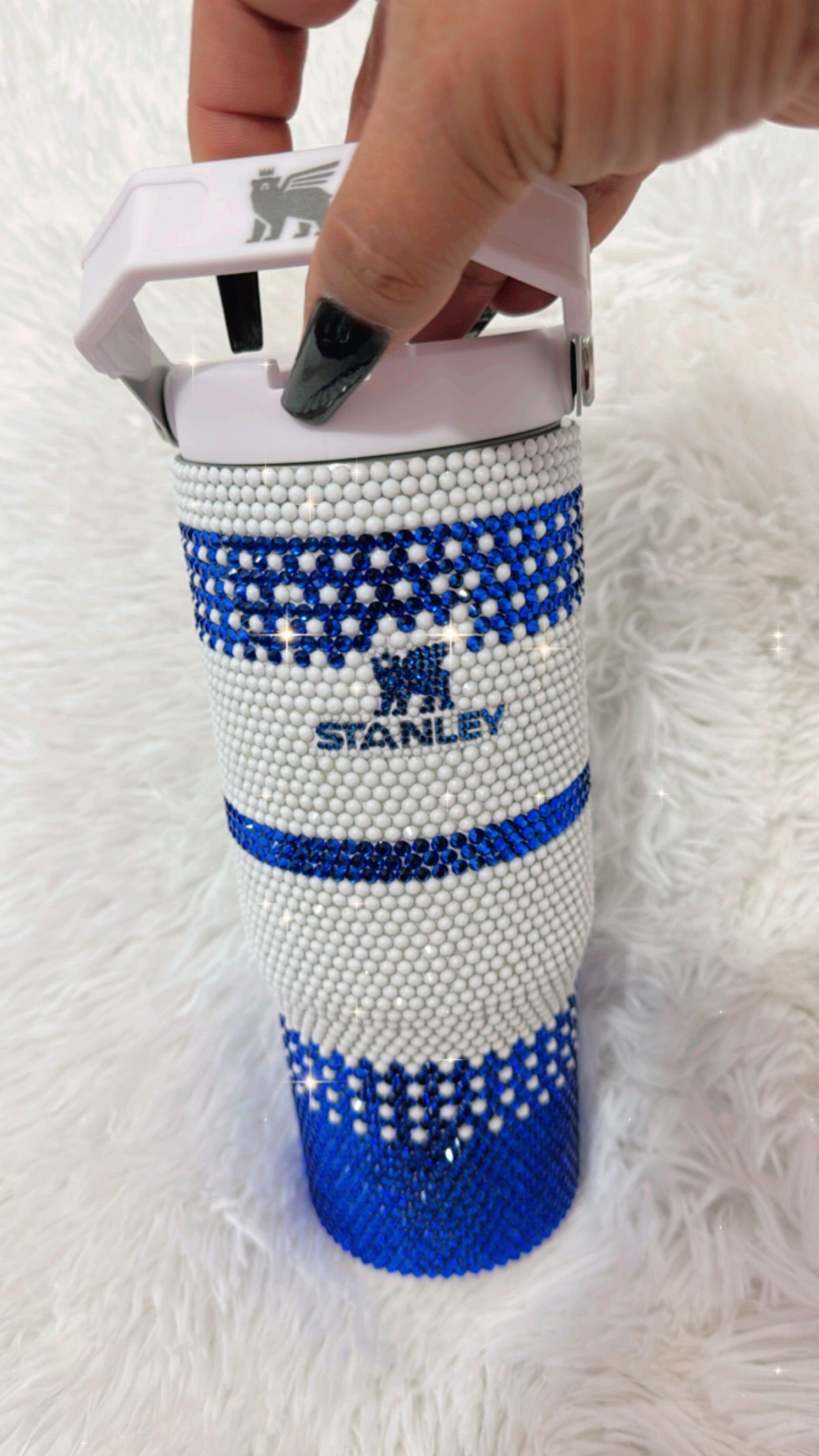 Beautiful 30oz Stanley