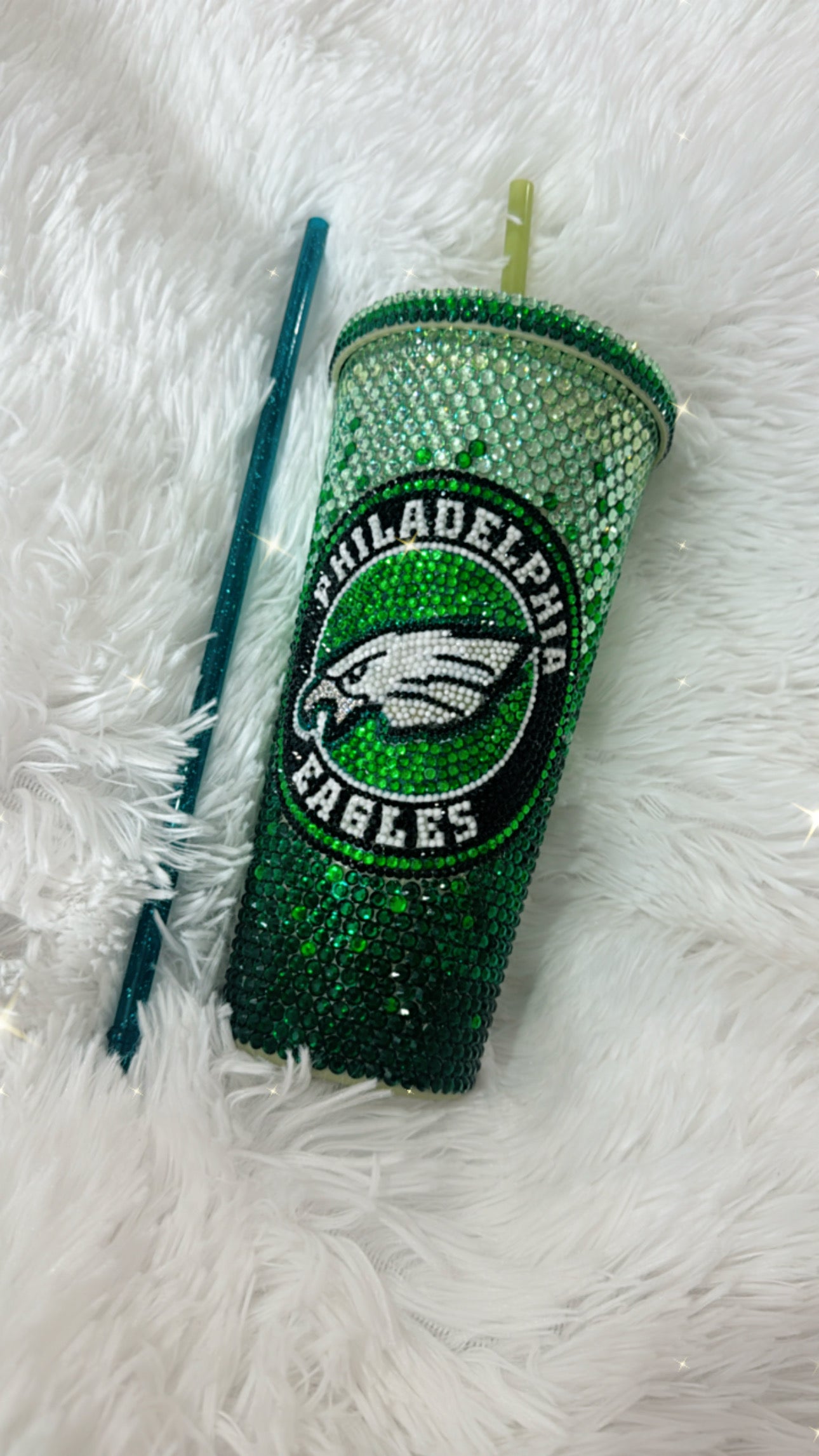 Philadelphia Eagles Tumbler